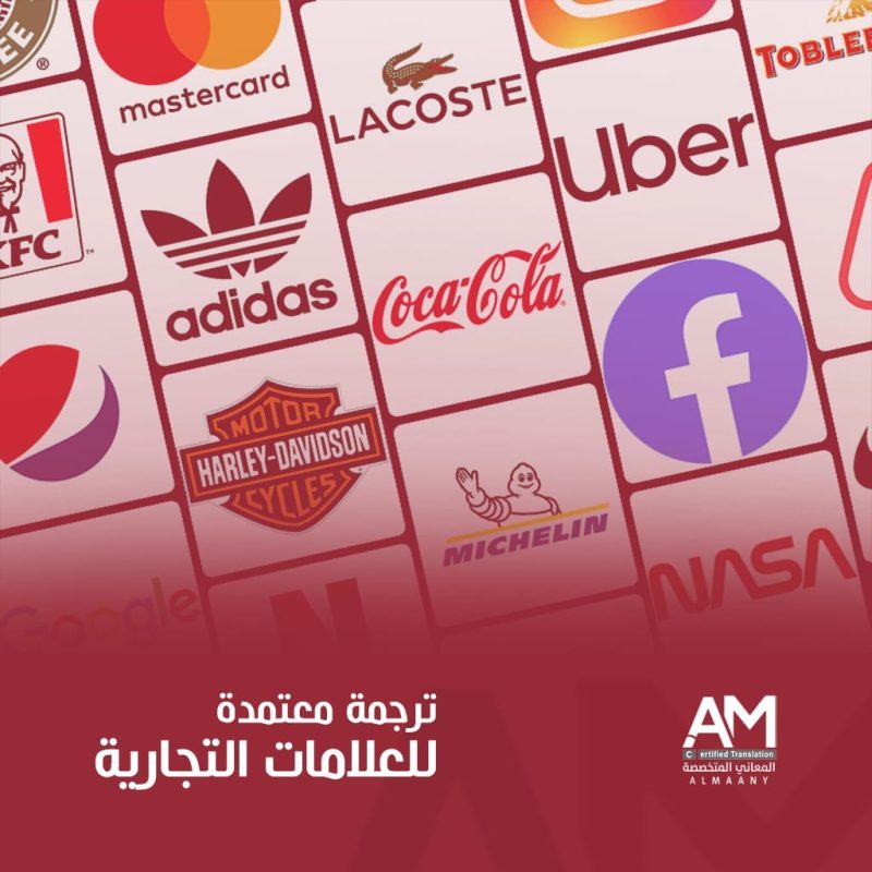 WhatsApp Image 2024-05-13 at 18.41.58